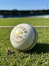 Load image into Gallery viewer, Cricket Leather Ball White