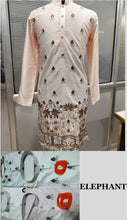 Load image into Gallery viewer, Men's Rajwadi Kurta