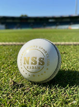 Load image into Gallery viewer, Cricket Leather Ball White
