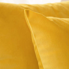 Load image into Gallery viewer, Solid Pain velvet cushion cover European size
